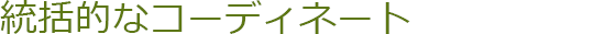 統括的なコーディネート